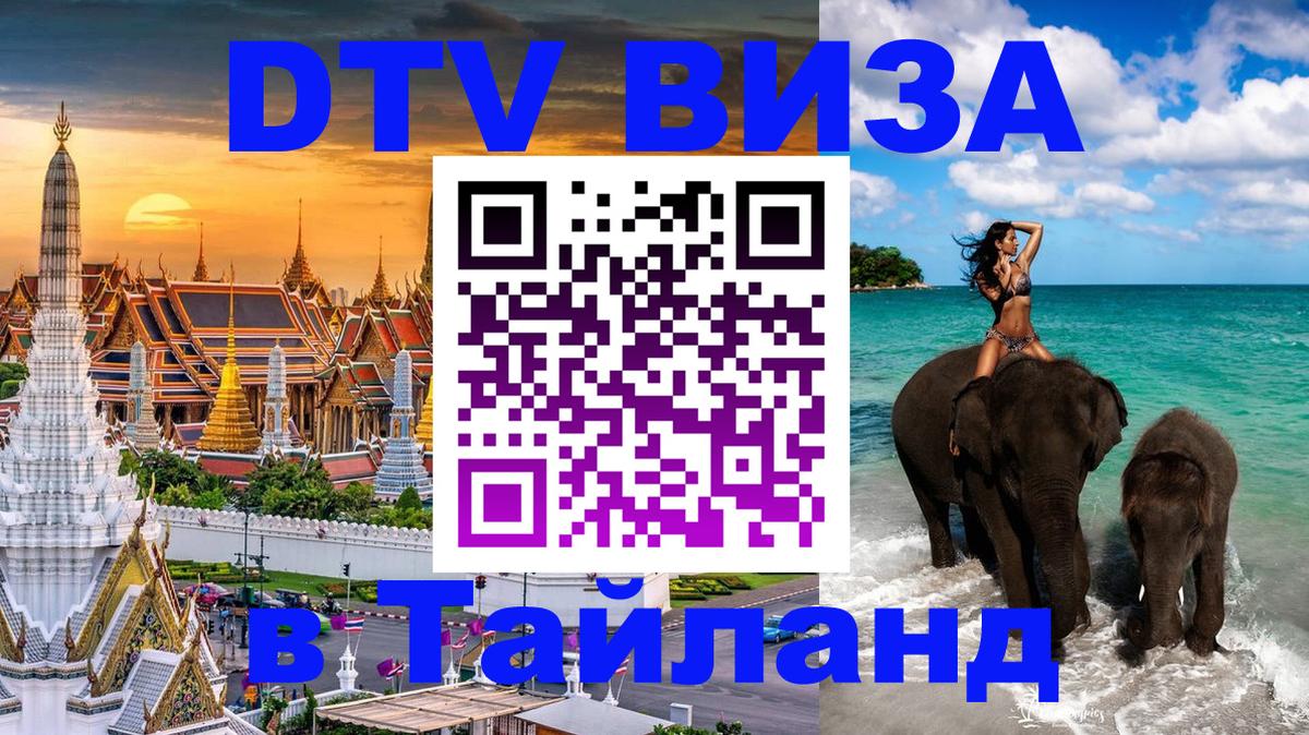 Сколько стоит DTV виза — актуальные цены, оформление даже без документов - 07.11.2025 